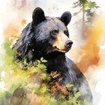 Cuadro Oso ilustración
